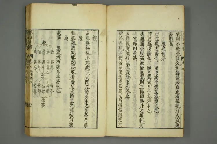 东垣十书卷十二 东垣十书卷十二