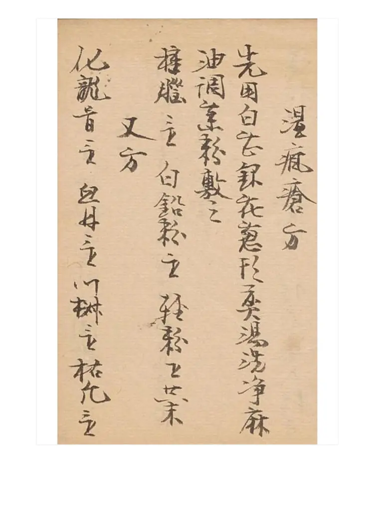 梦梅氏丹方秘要48页