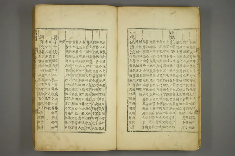 东医宝鉴卷二十一 东医宝鉴卷二十一