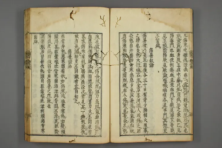 三因极一病证方论卷五、六 三因极一病证方论卷五、六