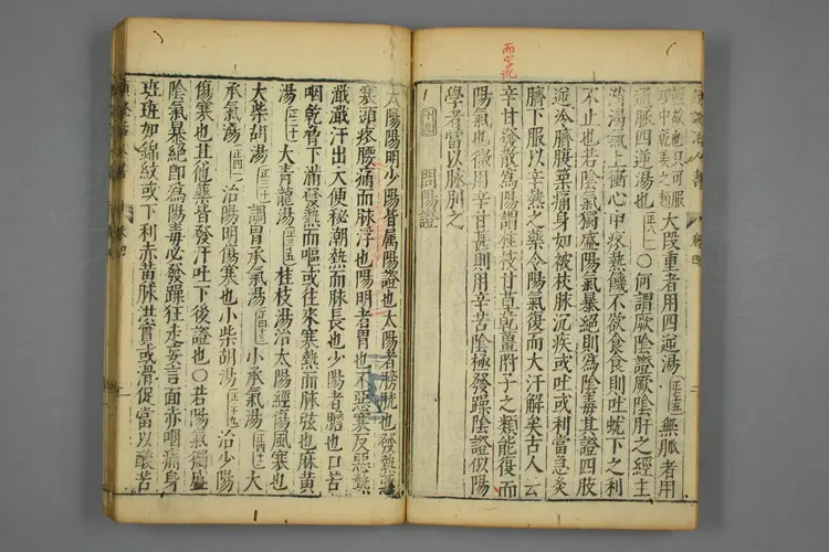 伤寒活人书（4-10卷）