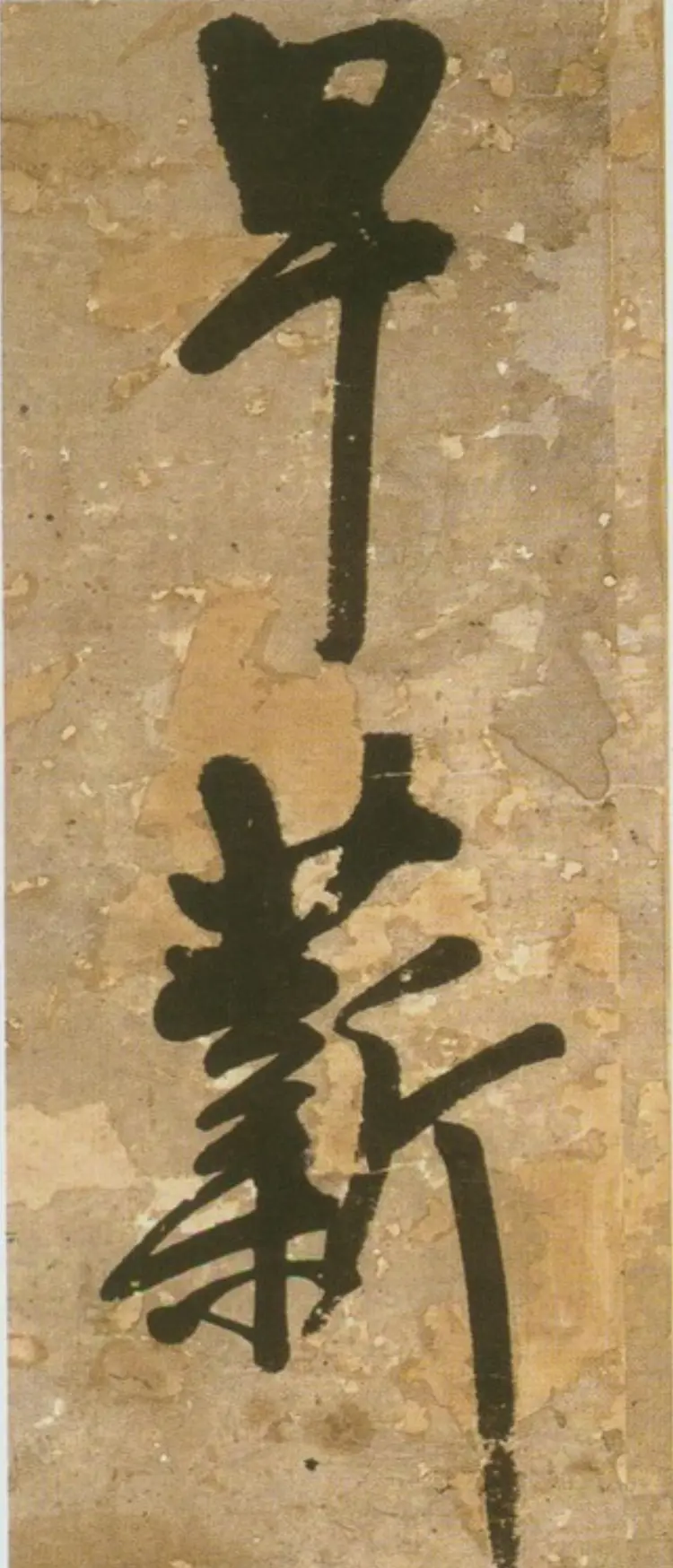 青圃通邻巷五言诗 青圃通邻巷五言诗