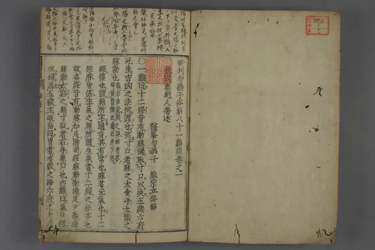 八十一难经图卷二 八十一难经图卷二