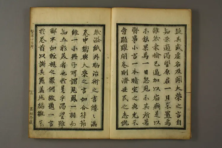 丛桂亭医事小言卷一