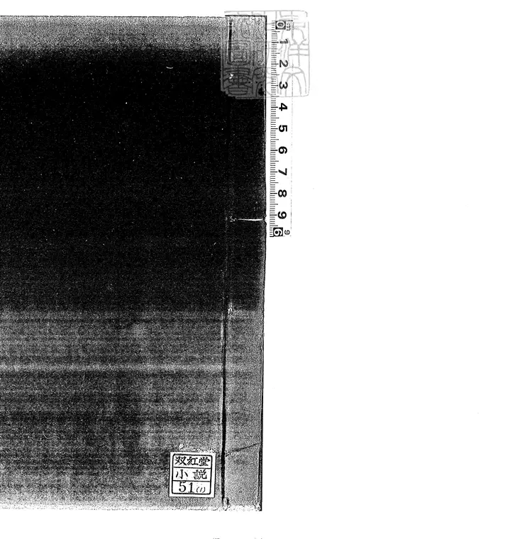878 新刻金瓶梅奇書八卷 嘉慶二十一年序刊本 878 新刻金瓶梅奇書八卷 嘉慶二十一年序刊本