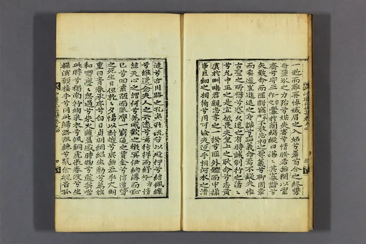 冲庵先生集 卷之1-5  金浄撰