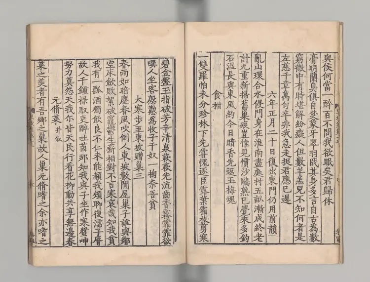 東坡集 著者蘇軾（宋）宋刊本0101