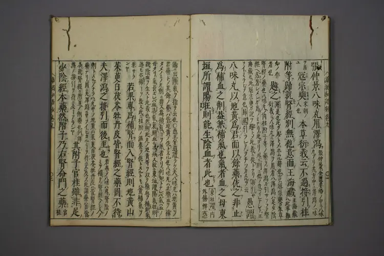 医经溯洄集和语钞卷九 医经溯洄集和语钞卷九