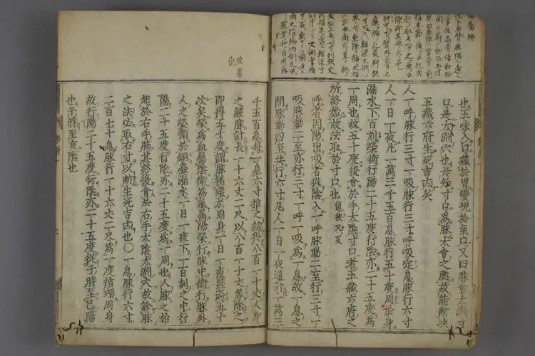 八十一难经图卷二 八十一难经图卷二