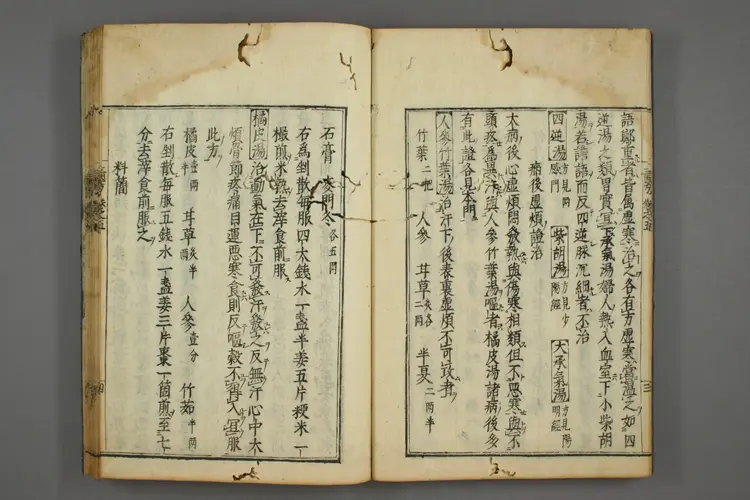 三因极一病证方论卷五、六 三因极一病证方论卷五、六