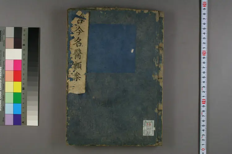 古今名医类案卷十二