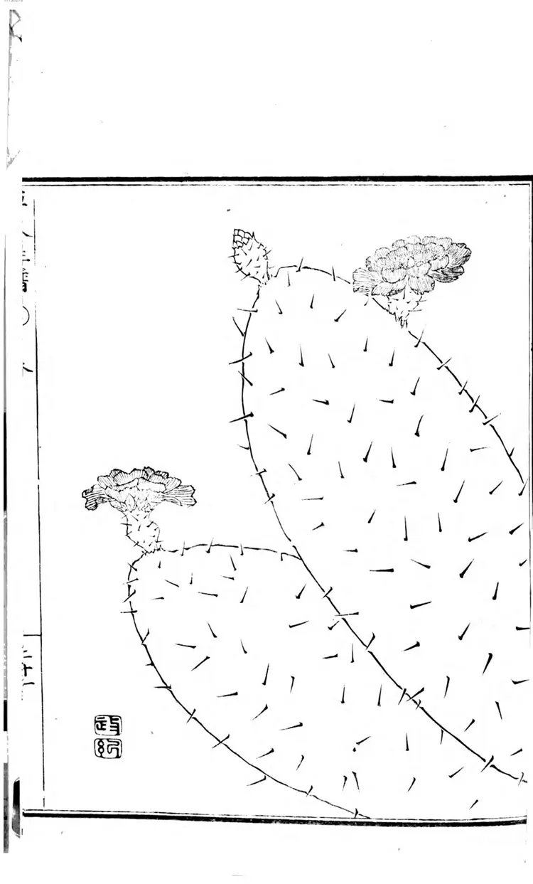 草木性谱 草木性谱