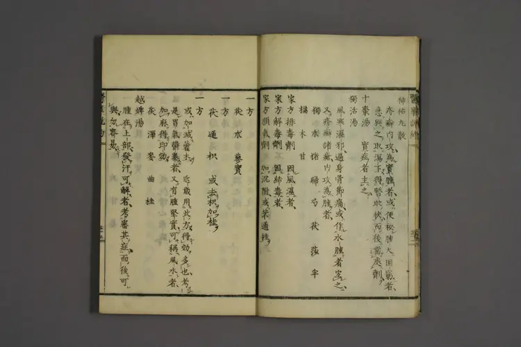 一本堂医事说约卷二