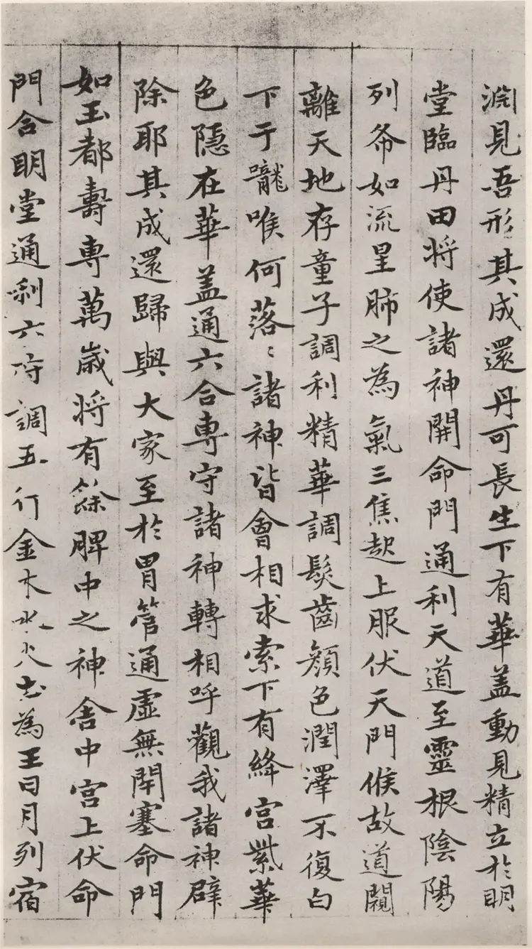 赵子昂小楷临黄庭经