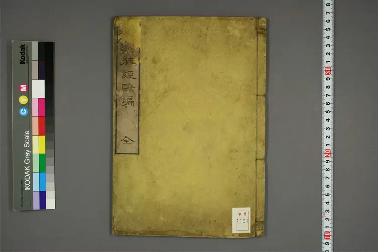 癫痫狂经验编 癫痫狂经验编