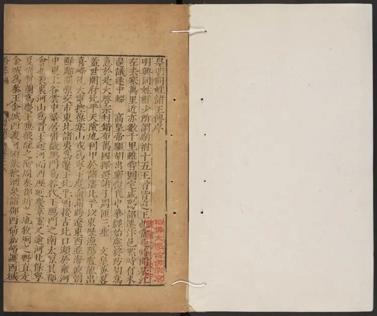 皇明同姓诸王表·皇明同姓诸王传 皇明同姓诸王表·皇明同姓诸王传