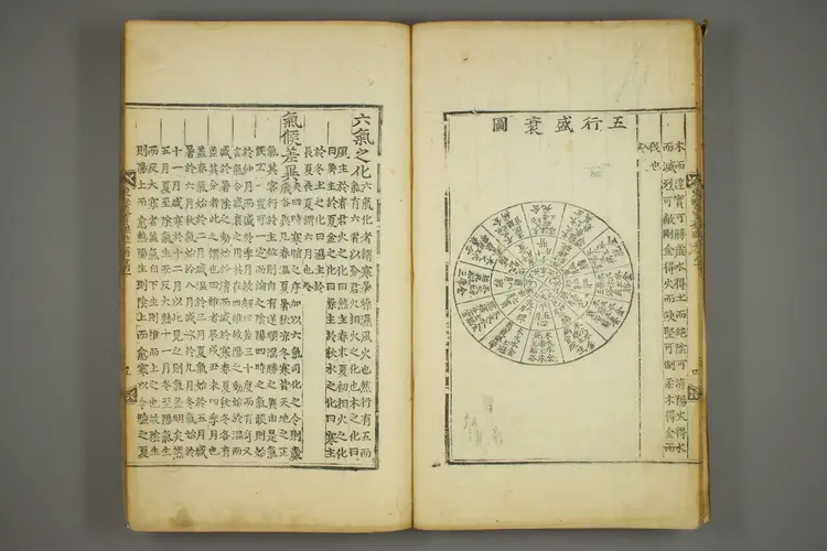 东医宝鉴卷十一 东医宝鉴卷十一