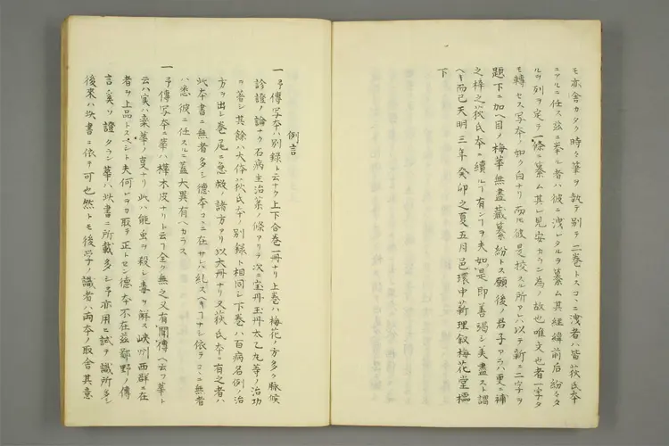 梅花无尽藏纂纷