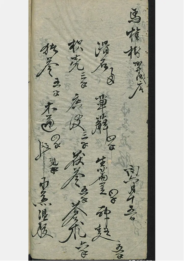 刘氏手到生春 刘氏手到生春