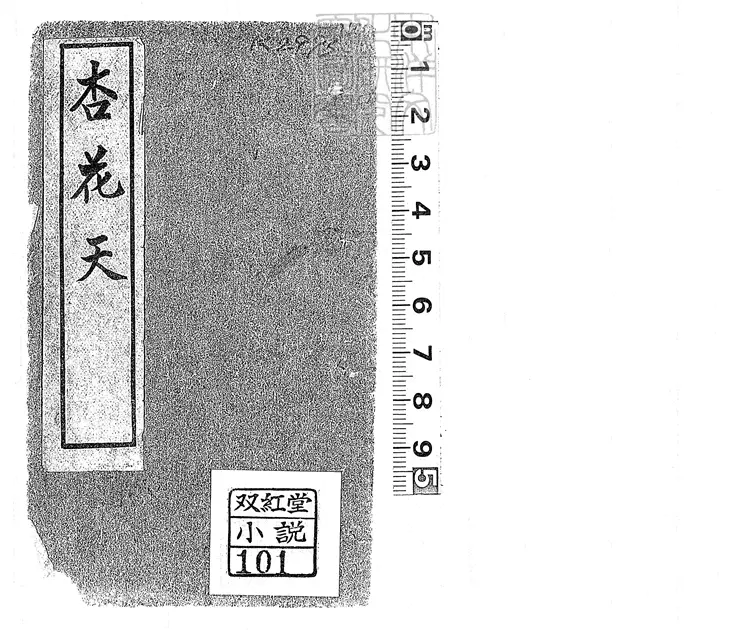 925 杏花天十四回 民國□年石印本 925 杏花天十四回 民國□年石印本