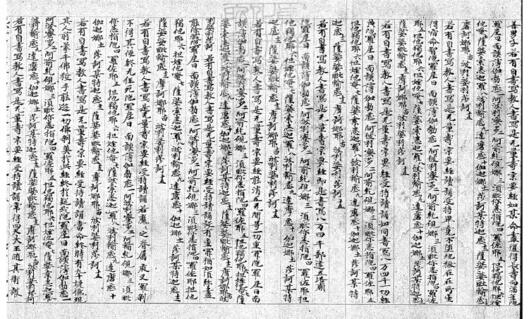 500 無量壽宗要經殘一卷　唐鈔本