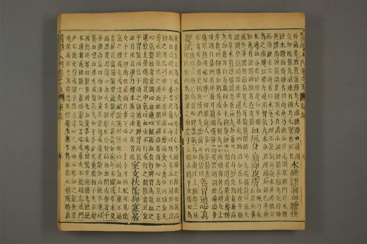 医学入门卷十一 医学入门卷十一