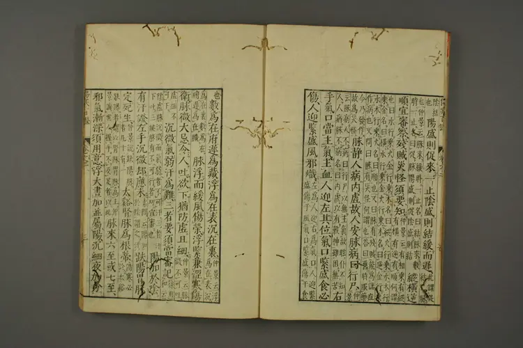 伤寒百证卷二 伤寒百证卷二