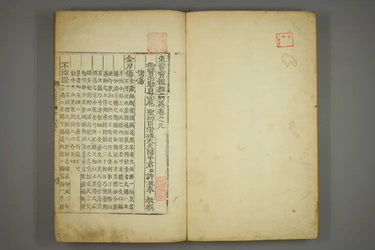 东医宝鉴卷十九