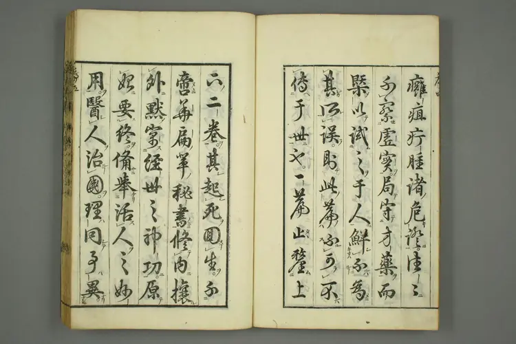 东垣十书卷十九 东垣十书卷十九